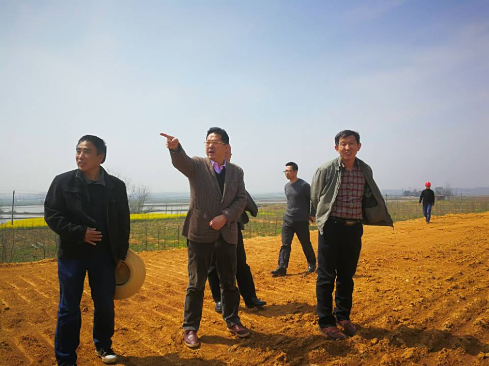 图片7